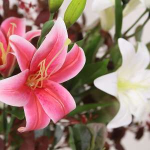 En elegant Blombukett vit och rosa Lilja - Sockervaddsdröm, Konstgjord blombukett med 9 blommor och snittgrönt med naturligt utseende och känsla. Detaljerad utformning med realistiskt bladverk. 