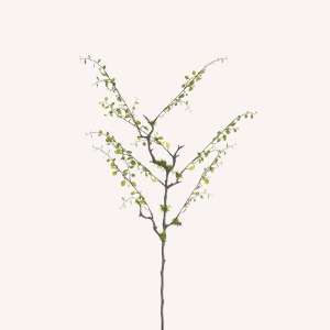 En elegant Muehlenbeckia grön, Konstgjord muehlenbeckia 80 cm hög med naturligt utseende och känsla. Detaljerad utformning med realistiskt bladverk. 