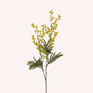 En elegant Mimosa gul, Konstgjord mimosa 75 cm hög med naturligt utseende och känsla. Detaljerad utformning med realistiskt bladverk. 
