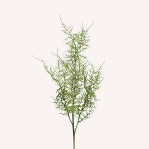 En elegant Fjädersparris Plumosus snittgrönt, Konstgjord fjädersparris snittgrönt 70 cm hög med naturligt utseende och känsla. Detaljerad utformning med realistiskt bladverk. 
