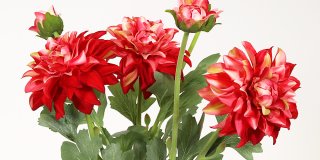 Tre konstgjorda dahlior i rött och gult med fylliga, veckade kronblad och en knopp, omgivna av gröna blad.