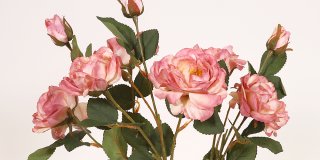 Tre konstgjorda pioner i olika rosa nyanser. De är fylliga med många kronblad och ser realistiska ut, mot en ljus bakgrund.