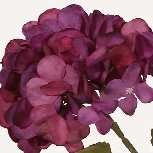 En elegant Hortensia lila Honshu, Konstgjord hortensia 64 cm hög med naturligt utseende och känsla. Detaljerad utformning med realistiskt bladverk. 