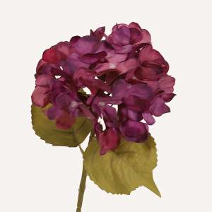 En elegant Hortensia lila Honshu, Konstgjord hortensia 64 cm hög med naturligt utseende och känsla. Detaljerad utformning med realistiskt bladverk. 