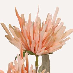 En elegant Krysantemum champagne Shungi, Konstgjord krysantemum 72 cm hög 3 blommor med naturligt utseende och känsla. Detaljerad utformning med realistiskt bladverk. 