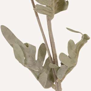 En elegant Krysantemum mörk rosa Shungi, Konstgjord krysantemum 72 cm hög 3 blommor med naturligt utseende och känsla. Detaljerad utformning med realistiskt bladverk. 