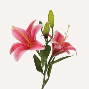 En elegant Lilja rosa Gunsan, Konstgjord lilja 52 cm hög med naturligt utseende och känsla. Detaljerad utformning med realistiskt bladverk. 