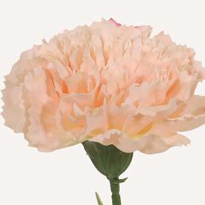 En elegant Nejlika champagne Diana, Konstgjord nejlika 50 cm hög med naturligt utseende och känsla. Detaljerad utformning med realistiskt bladverk. 