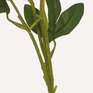 En elegant Pion champagne Hades, Konstgjord pion 65 cm hög 6 blommor med naturligt utseende och känsla. Detaljerad utformning med realistiskt bladverk. 