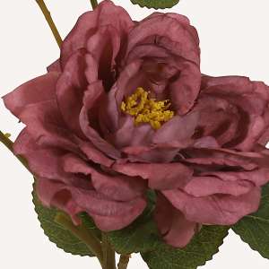 En elegant Pion lila Plinius, Konstgjord pion 53 cm hög 3 blommor med naturligt utseende och känsla. Detaljerad utformning med realistiskt bladverk. 