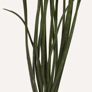 En elegant Gräs snittgrönt, Konstgjord gräs snittgrönt 61 cm hög med naturligt utseende och känsla. Detaljerad utformning med realistiskt bladverk. 