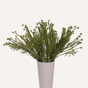 En elegant Gatkamomille snittgrönt, Konstgjord gatkamomille snittgrönt 50 cm hög med naturligt utseende och känsla. Detaljerad utformning med realistiskt bladverk. 