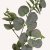 En elegant Eucalyptus snittgrönt, Konstgjord eucalyptus snittgrönt 81 cm hög med naturligt utseende och känsla. Detaljerad utformning med realistiskt bladverk. 