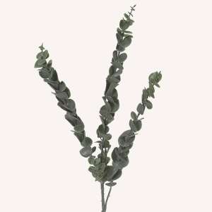 En elegant Eucalyptus snittgrönt , Konstgjord eucalyptus snittgrönt 80 cm hög med naturligt utseende och känsla. Detaljerad utformning med realistiskt bladverk. 