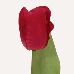 En elegant Tulpan ljusröd Lisse, Konstgjord tulpan 34 cm hög med naturligt utseende och känsla. Detaljerad utformning med realistiskt bladverk. 