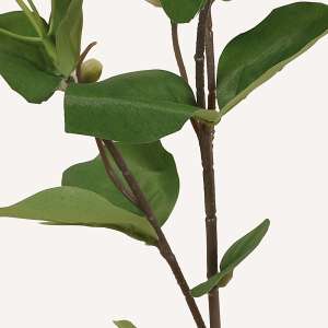 En elegant Jasmin vit Takai, Konstgjord jasmin 62 cm hög med naturligt utseende och känsla. Detaljerad utformning med realistiskt bladverk. 