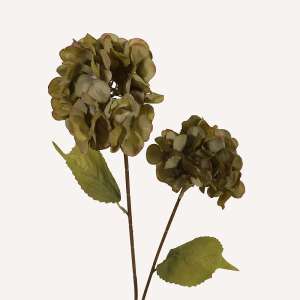 En elegant Hortensia grön Paniculata, Konstgjord hortensia 80 cm hög med 2 blommor med naturligt utseende och känsla. Detaljerad utformning med realistiskt bladverk. 