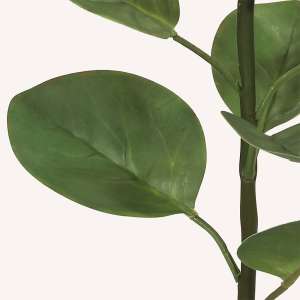 En elegant King Protea vit Cynara, Konstgjord King Protea 67 cm hög med naturligt utseende och känsla. Detaljerad utformning med realistiskt bladverk. 