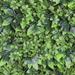 En elegant Växtvägg Viridis, Konstgjord växtvägg 50x50 cm, UV beständig med naturligt utseende och känsla. Detaljerad utformning med realistiskt bladverk. 