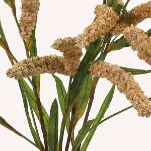 En elegant Fjäderborstgräs beige snittgrönt, Konstgjord fjäderborstgräs snittgrönt 80 cm hög med naturligt utseende och känsla. Detaljerad utformning med realistiskt bladverk. 