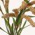 En elegant Fjäderborstgräs beige snittgrönt, Konstgjord fjäderborstgräs snittgrönt 80 cm hög med naturligt utseende och känsla. Detaljerad utformning med realistiskt bladverk. 