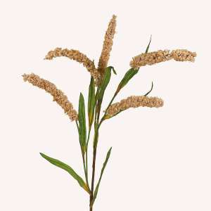 En elegant Fjäderborstgräs beige snittgrönt, Konstgjord fjäderborstgräs snittgrönt 80 cm hög med naturligt utseende och känsla. Detaljerad utformning med realistiskt bladverk. 