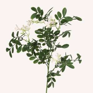 En elegant Sophorae vit snittgrönt, Konstgjord sophorae snittgrönt 80 cm hög med naturligt utseende och känsla. Detaljerad utformning med realistiskt bladverk. 