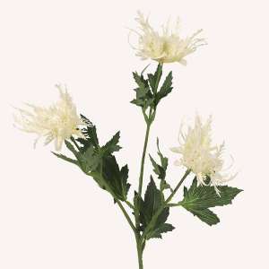 En elegant Tistel champagne snittgrönt, Konstgjord tistel snittgrönt 66 cm hög med naturligt utseende och känsla. Detaljerad utformning med realistiskt bladverk. 